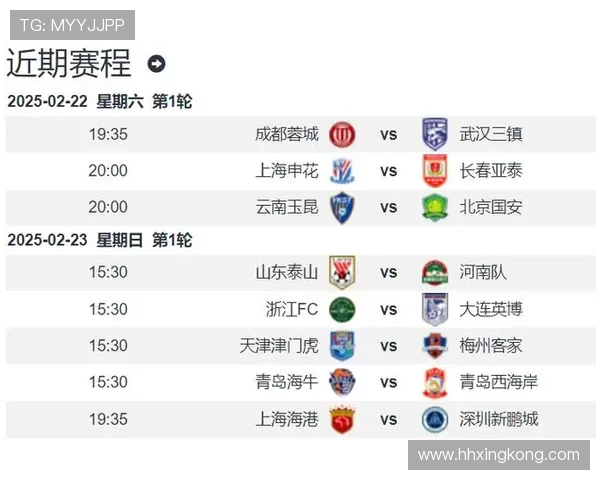 2025赛季中超主场成绩分析申花领跑海港紧随其后